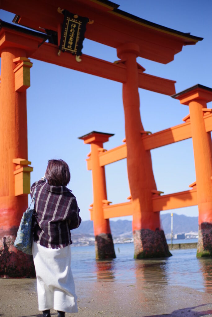 見上げた大鳥居