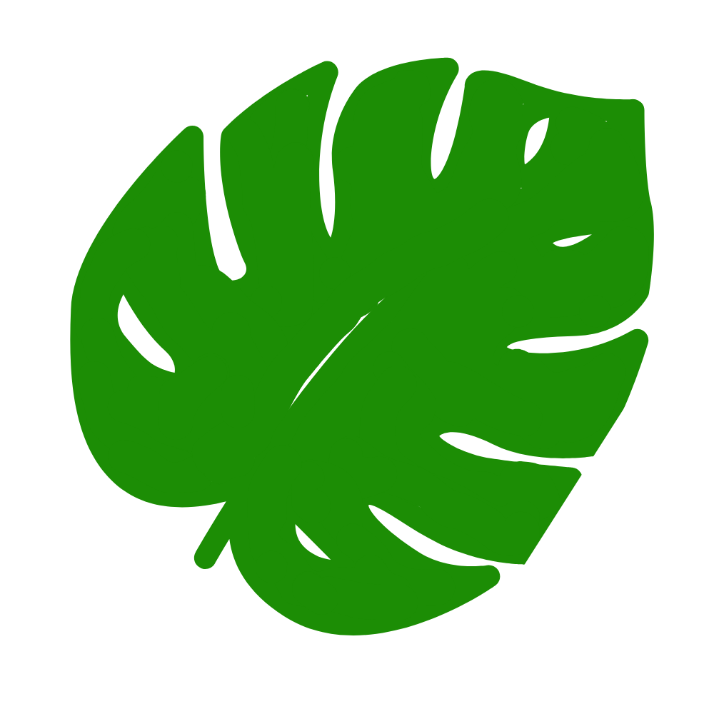 モンステラの葉