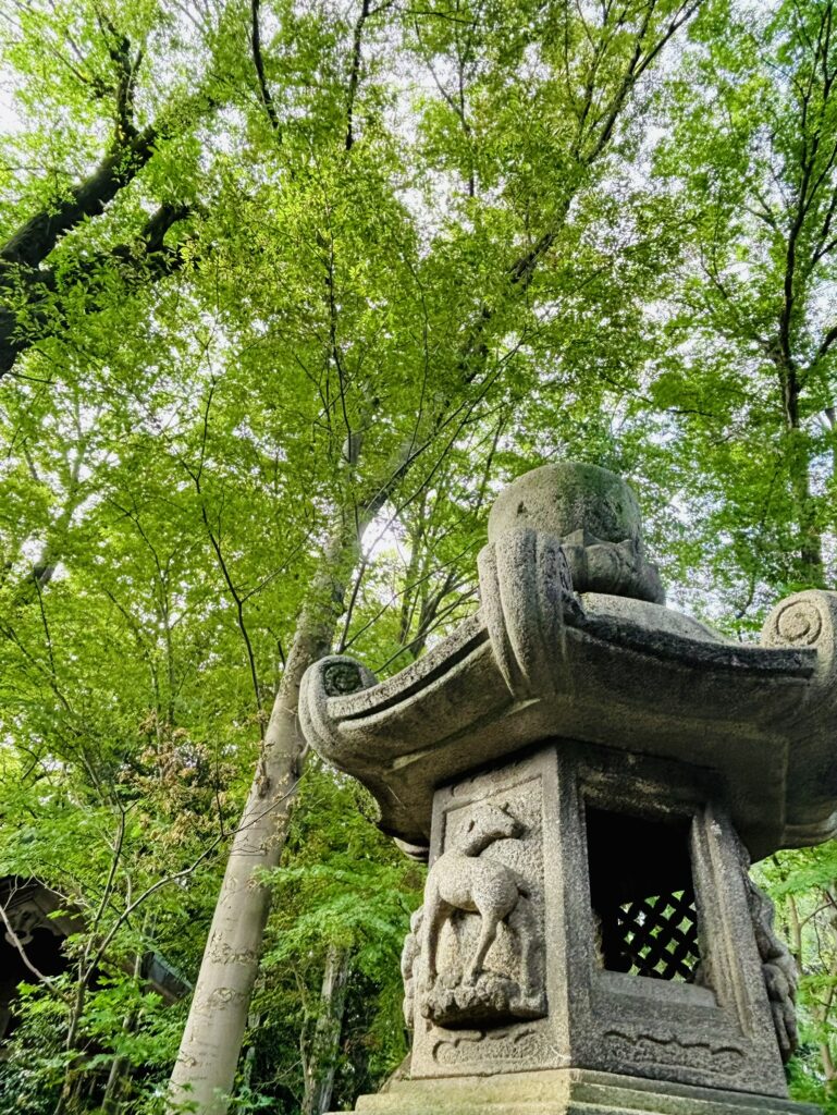 泉脇の灯篭と緑紅葉