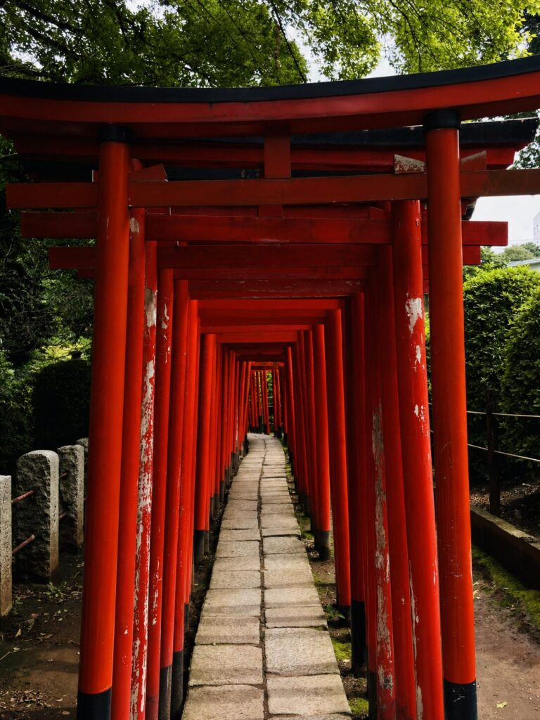 乙女稲荷神社へ続く朱色の千本鳥居